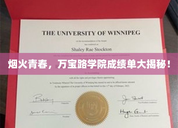 烟火青春，万宝路学院成绩单大揭秘！