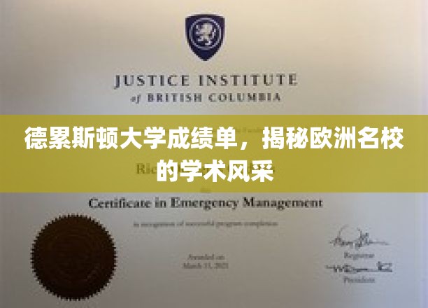 德累斯顿大学成绩单，揭秘欧洲名校的学术风采