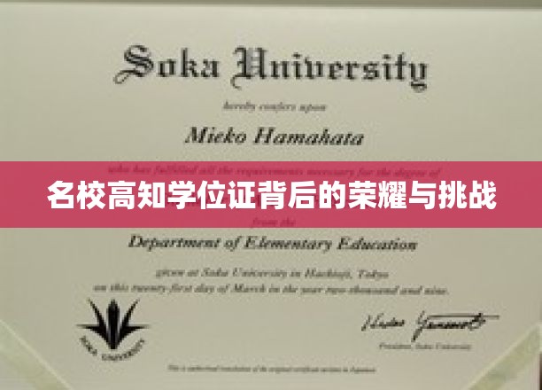 学历光环下的名校高知，荣耀之路上的荆棘与辉煌