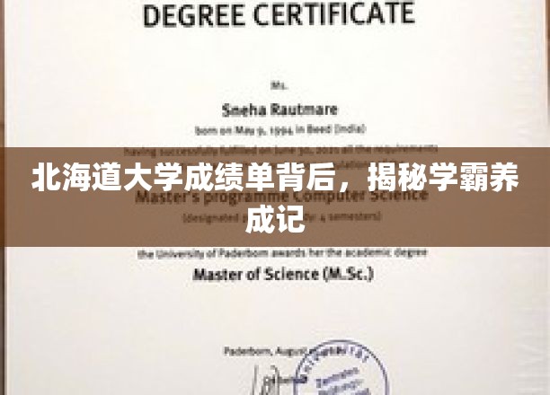 解码北海道学霸之路，成绩单背后的秘密成长历程