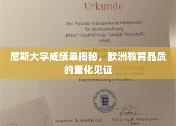 尼斯大学成绩单曝光，揭秘欧洲教育质量的量化标杆