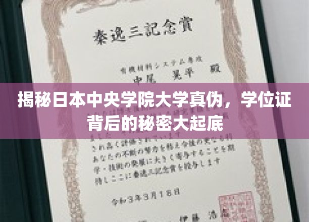 揭秘日本中央学院大学真伪，学位证背后的秘密大起底