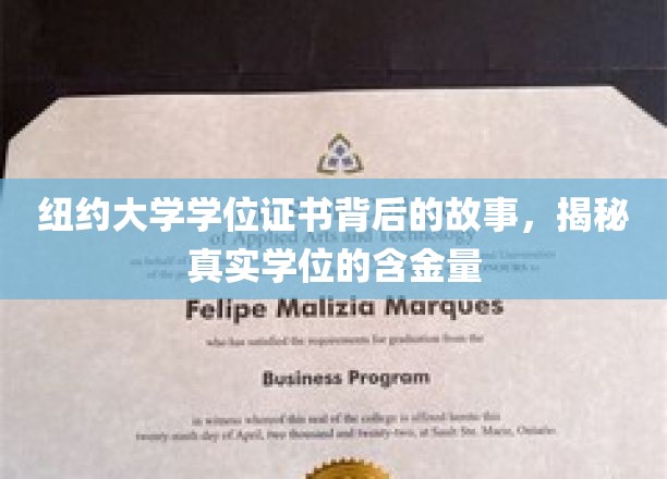 纽约大学学位证书背后的故事，揭秘真实学位的含金量