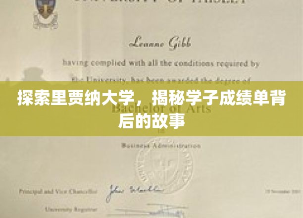 解码里贾纳大学成绩单，学子成就背后的秘密旅程
