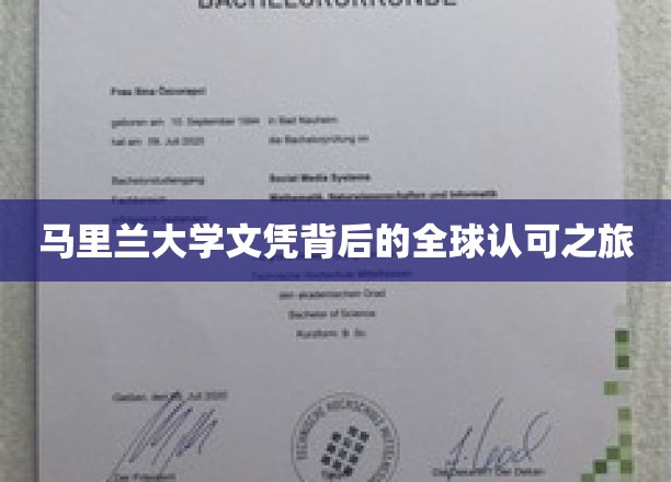 马里兰大学文凭背后的全球认可之旅