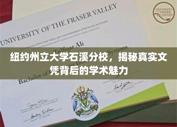 揭开纽约州立大学石溪分校文凭背后的学术风采之谜