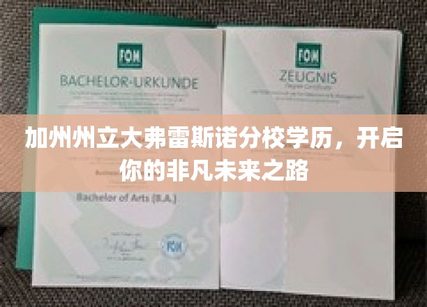 加州州立大弗雷斯诺分校荣耀学位，助你迈向非凡生涯巅峰