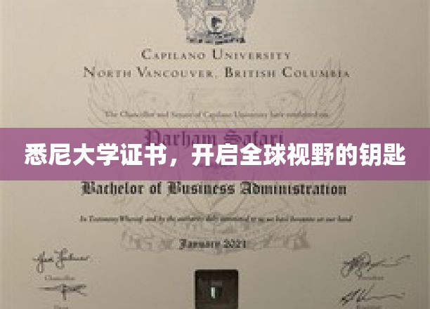 跨越国界，悉尼大学证书解锁无限国际视野