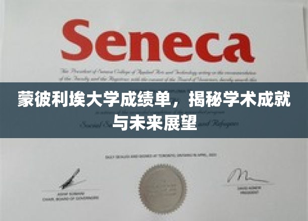 蒙彼利埃大学成绩单背后，探寻学术辉煌与未来无限可能