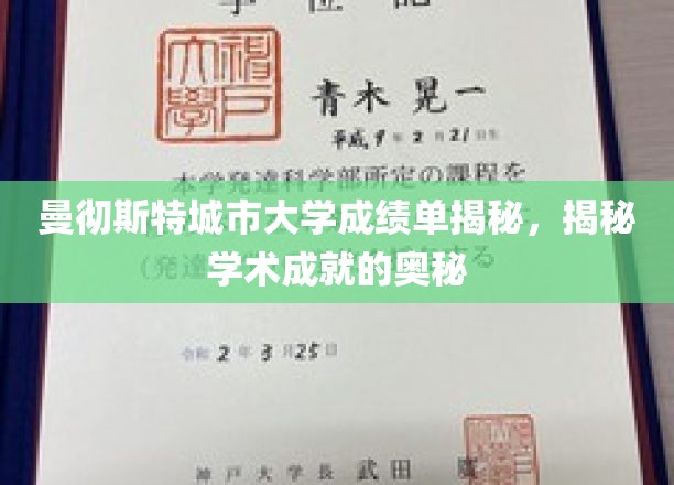 解码曼大成绩单，揭开学术卓越的神秘面纱