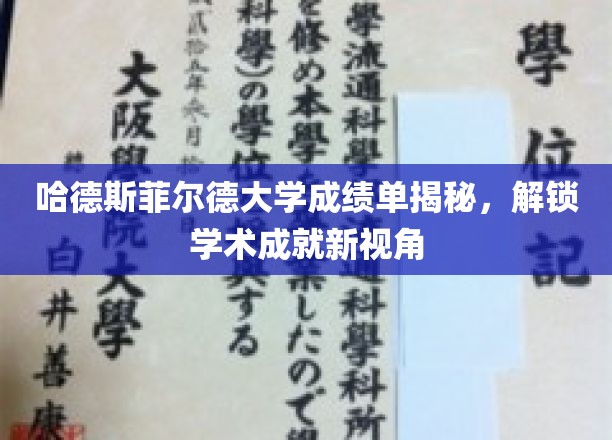 哈德斯菲尔德大学成绩单探秘，揭秘学术成就的多维视角
