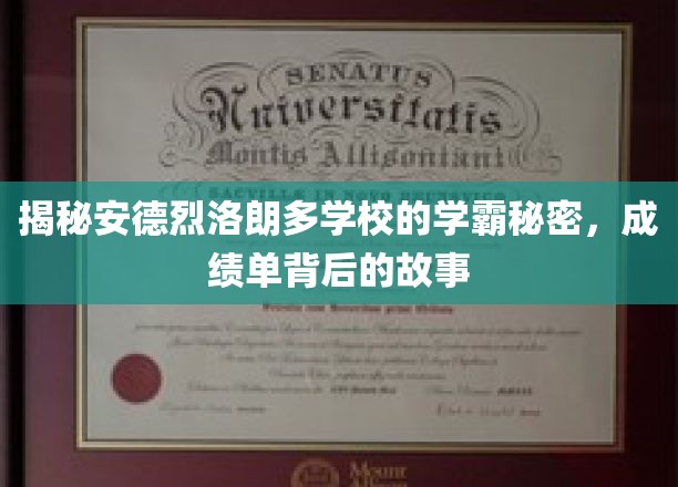 揭秘学霸养成记，安德烈洛朗多学校的成绩单背后传奇