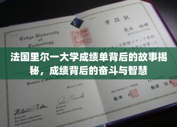 里尔大学成绩单背后，一场智慧与汗水的拼搏历程
