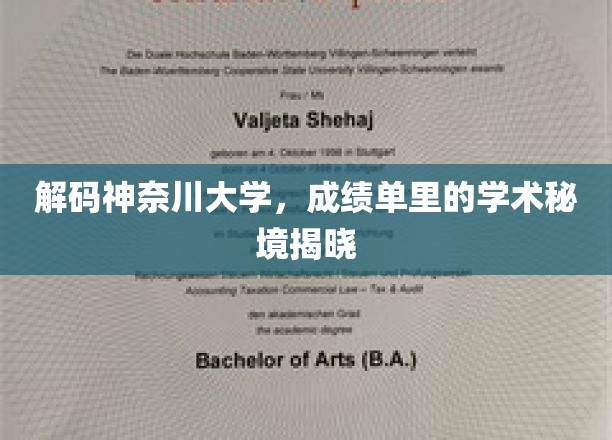 探寻神奈川大学成绩单背后的学术奇观