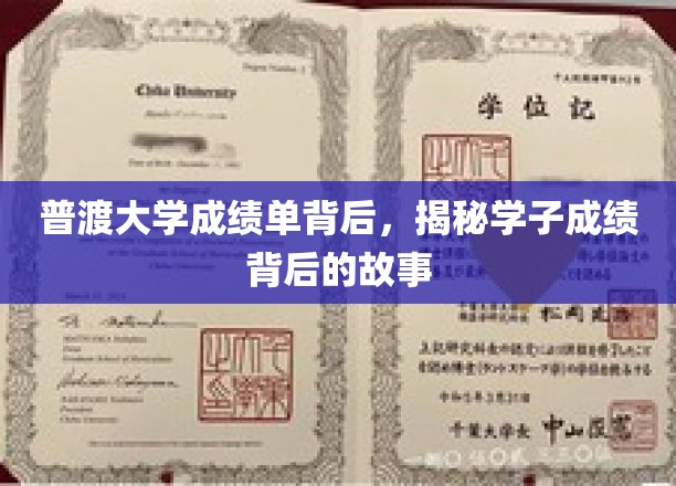 普渡大学成绩单背后，揭秘学子成绩背后的故事