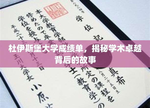 杜伊斯堡大学卓越成绩背后，探寻学术辉煌的奥秘之旅