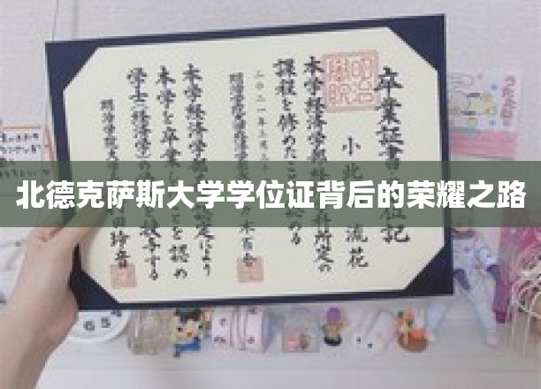 北德克萨斯大学学位证背后的荣耀之路