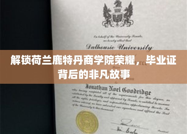 鹿特丹商学院荣耀揭秘，毕业证背后的非凡旅程