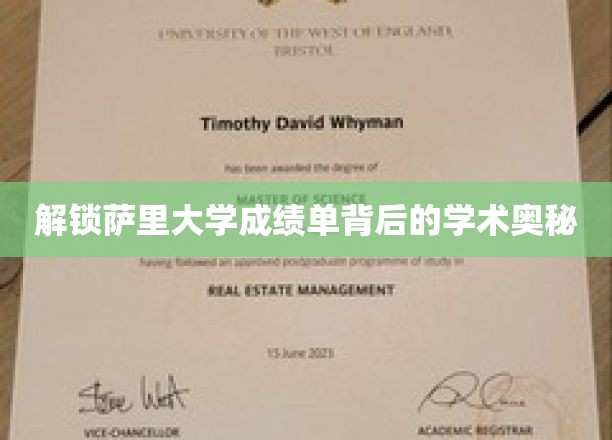揭开萨里大学成绩单的神秘面纱，探寻学术成就的秘密钥匙
