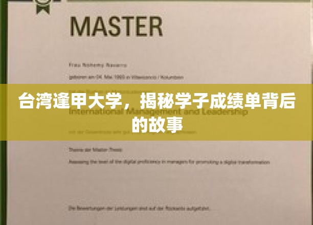 逢甲学子成绩单，揭开台湾高校的学霸成长记