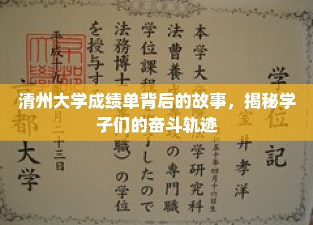 清州学子奋斗足迹，揭开成绩单背后的励志篇章