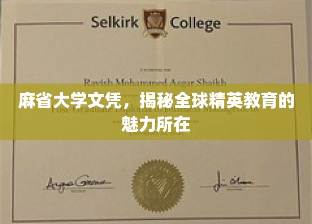 麻省大学文凭背后的全球精英教育之光