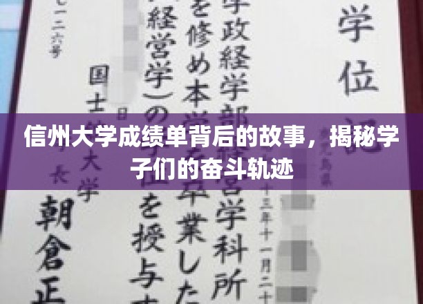 成绩单背后的青春足迹，信州大学学子的奋斗传奇