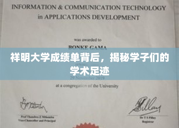 祥明大学成绩单背后，揭秘学子们的学术足迹