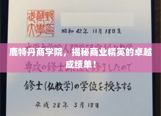 鹿特丹商学院，揭开未来商业领袖的璀璨成就