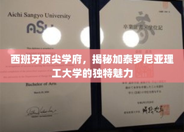 西班牙顶尖学府，揭秘加泰罗尼亚理工大学的独特魅力