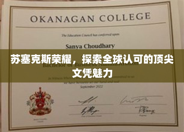 苏塞克斯荣耀，探索全球认可的顶尖文凭魅力