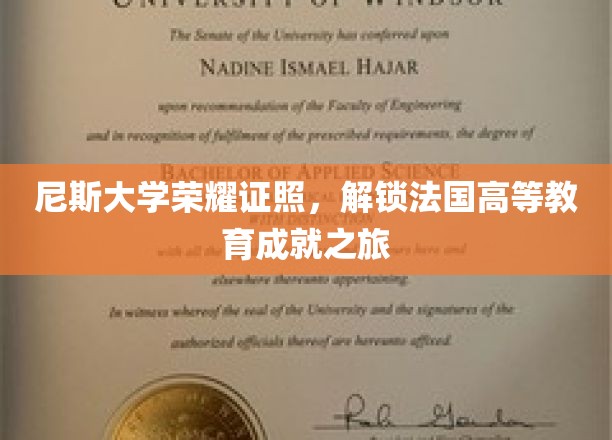 尼斯大学荣耀证照，开启法国高等教育卓越之旅