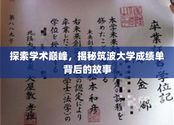 解码筑波辉煌，揭秘顶尖学府成绩单背后的秘密世界