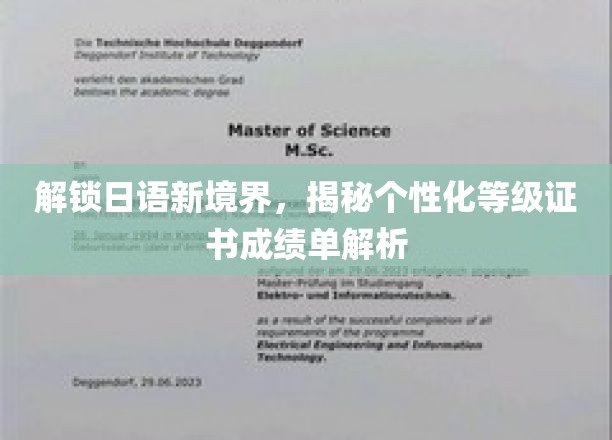 日语水平再飞跃，个性化等级证书成绩单深度解析大揭秘