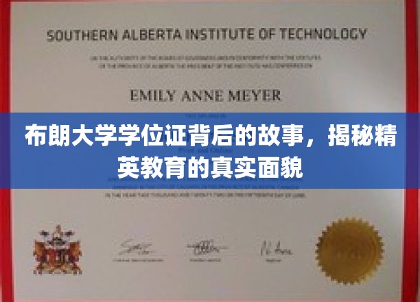 布朗大学学位证背后的传奇，一窥精英教育世界的真实画卷