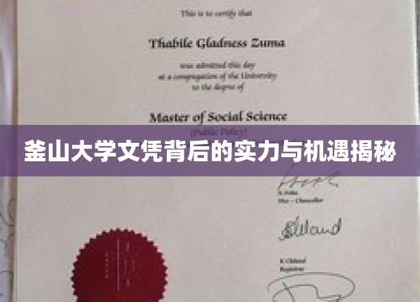 釜山大学文凭背后的实力与机遇揭秘
