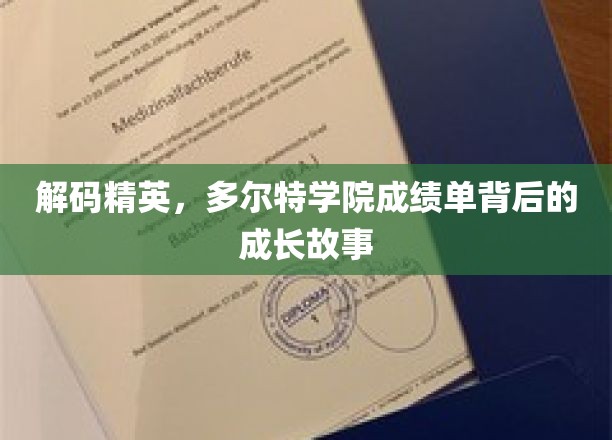 多尔特精英养成记，揭开成绩单背后的蜕变历程