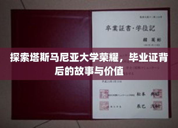 解码塔大荣耀，毕业证背后的传奇与非凡价值