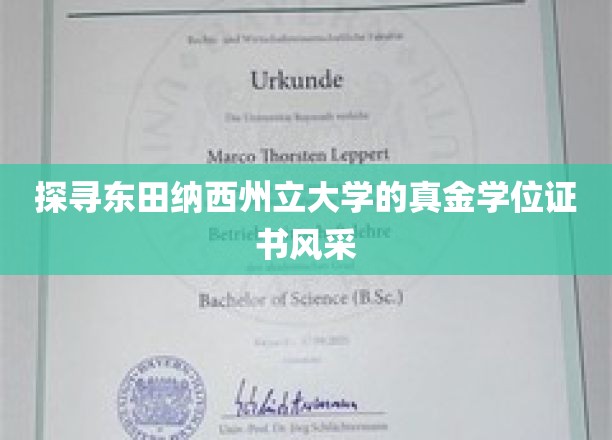 揭秘东田纳西州立大学，学位证书背后的卓越风采