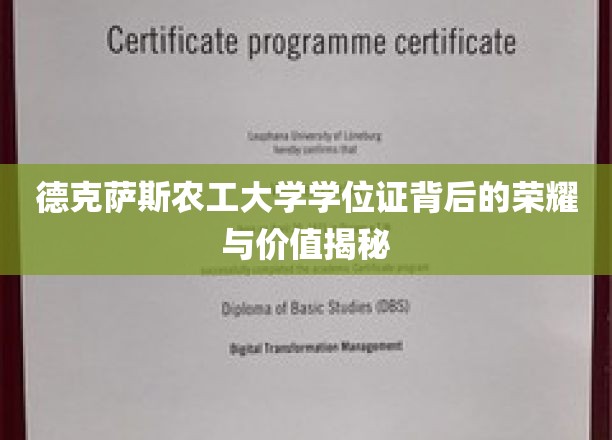 德克萨斯农工大学学位证背后的荣耀与价值揭秘
