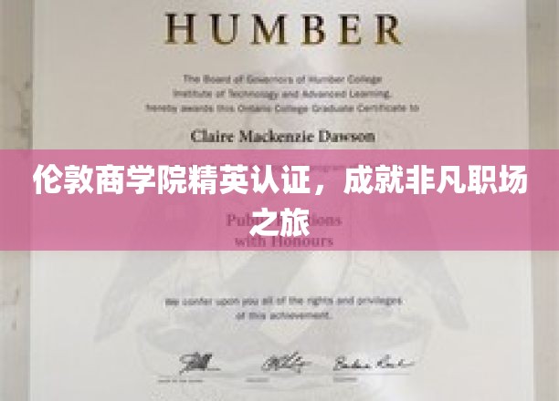 解码伦敦商学院精英摇篮，开启卓越职场新篇章