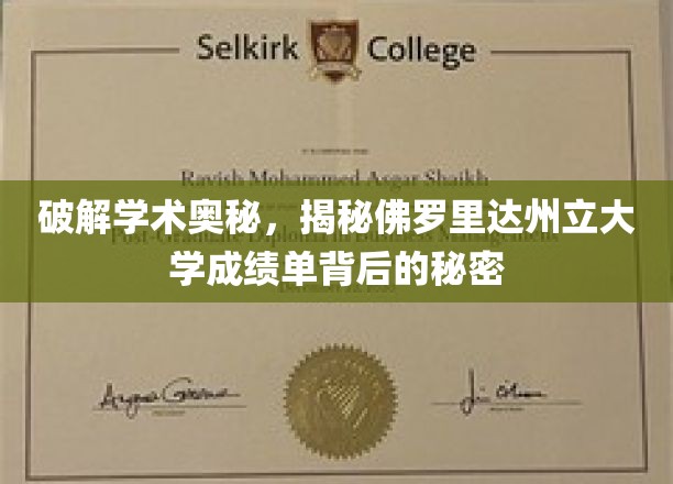 解码学术传奇，佛罗里达州立大学成绩单的深层解读