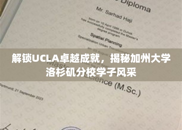 解锁UCLA卓越成就，揭秘加州大学洛杉矶分校学子风采