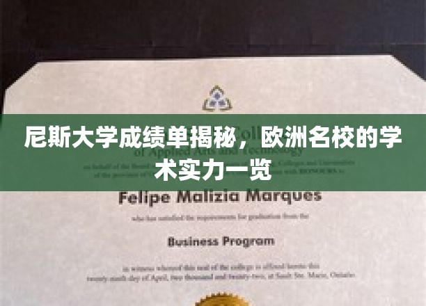 欧洲学府风采，尼斯大学成绩单解码，一窥学术实力之谜