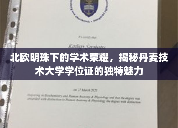 北欧明珠下的学术荣耀，揭秘丹麦技术大学学位证的独特魅力