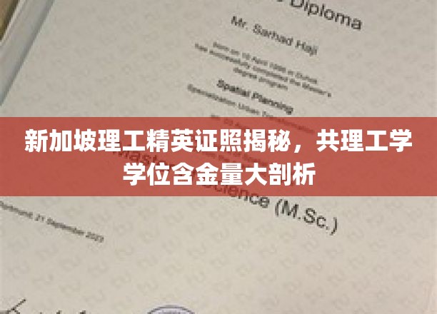 新加坡理工精英证照揭秘，共理工学学位含金量大剖析
