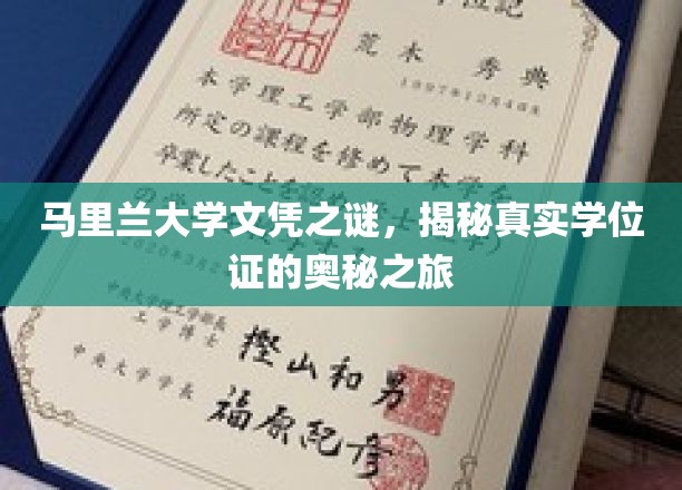 马里兰大学文凭之谜，揭秘真实学位证的奥秘之旅