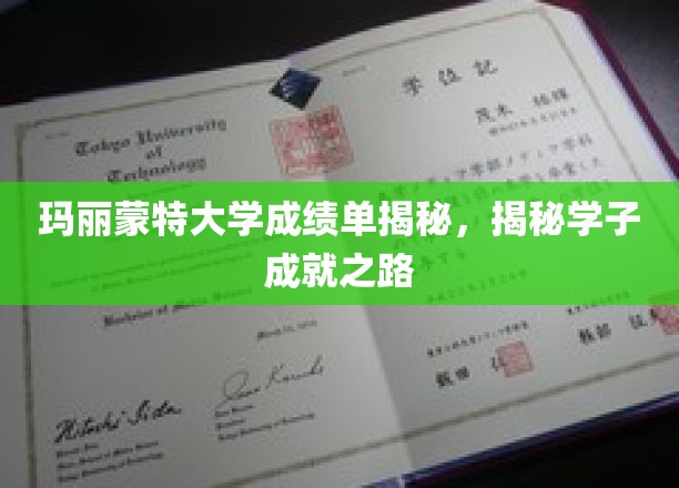 玛丽蒙特大学学子成就之路大揭秘，揭秘那些闪耀的分数背后的故事