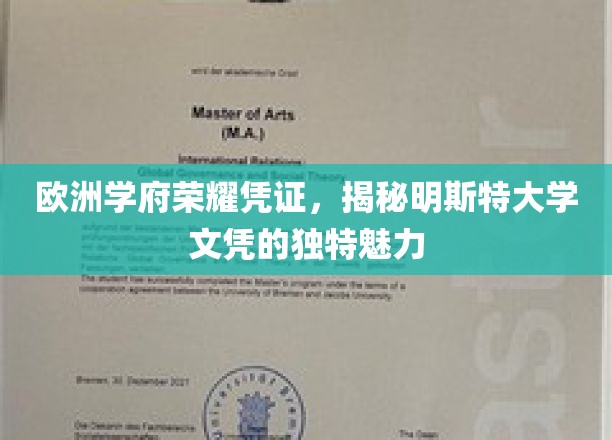 欧洲精英教育象征，明斯特大学文凭的非凡风采