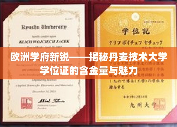 北欧明珠下的学术瑰宝，丹麦技术大学学位证的非凡价值与吸引力